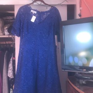 Teri-Jon for ricki freeman royal blue lace dress